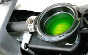 Fluorescent green-dyed antifreeze is visible in the radiator header tank when car radiator cap is removed