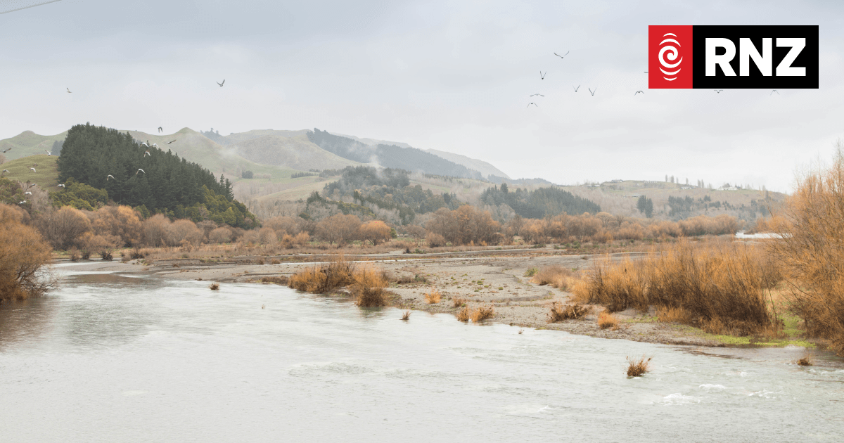 Warning over toxic algae at Hawke's Bay river - Vimarsana News
