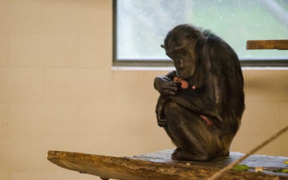 New mum Sanda with her baby daughter