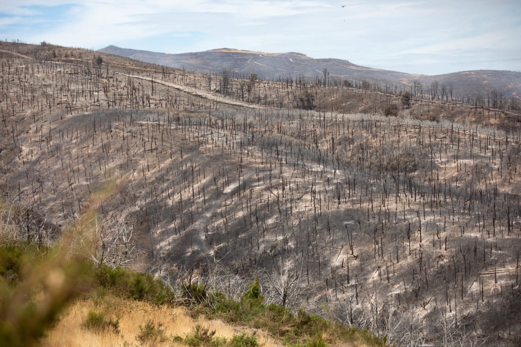 Fire crews battling the Port Hills fire in Christchurch for a second day, on 15 February, 2024.