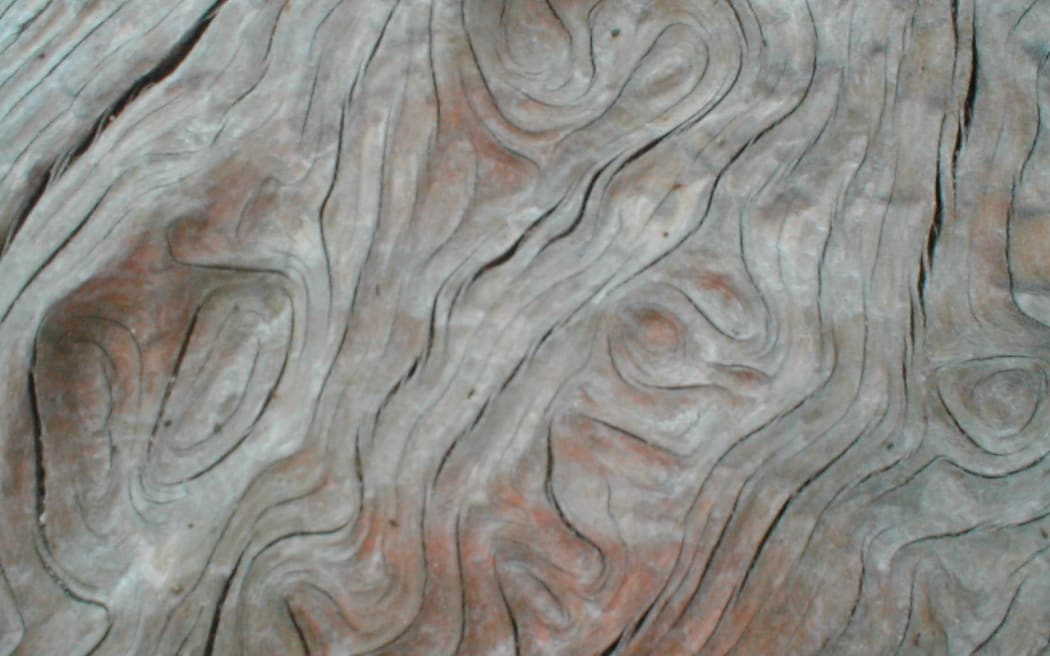 Wood close-up