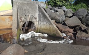 Oil spill containment booms at Hongihongi stream.