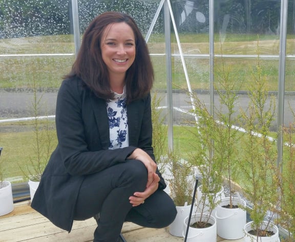 Jen Prosser with her Manuka plants.
