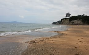 Auckland's Browns Bay.
