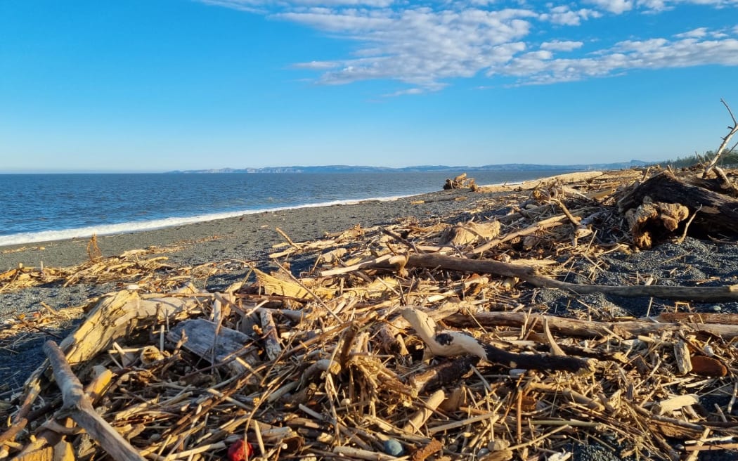 Slash on Napier Beach's coast line on 20 February, after Cyclone Gabrielle swept through the area.