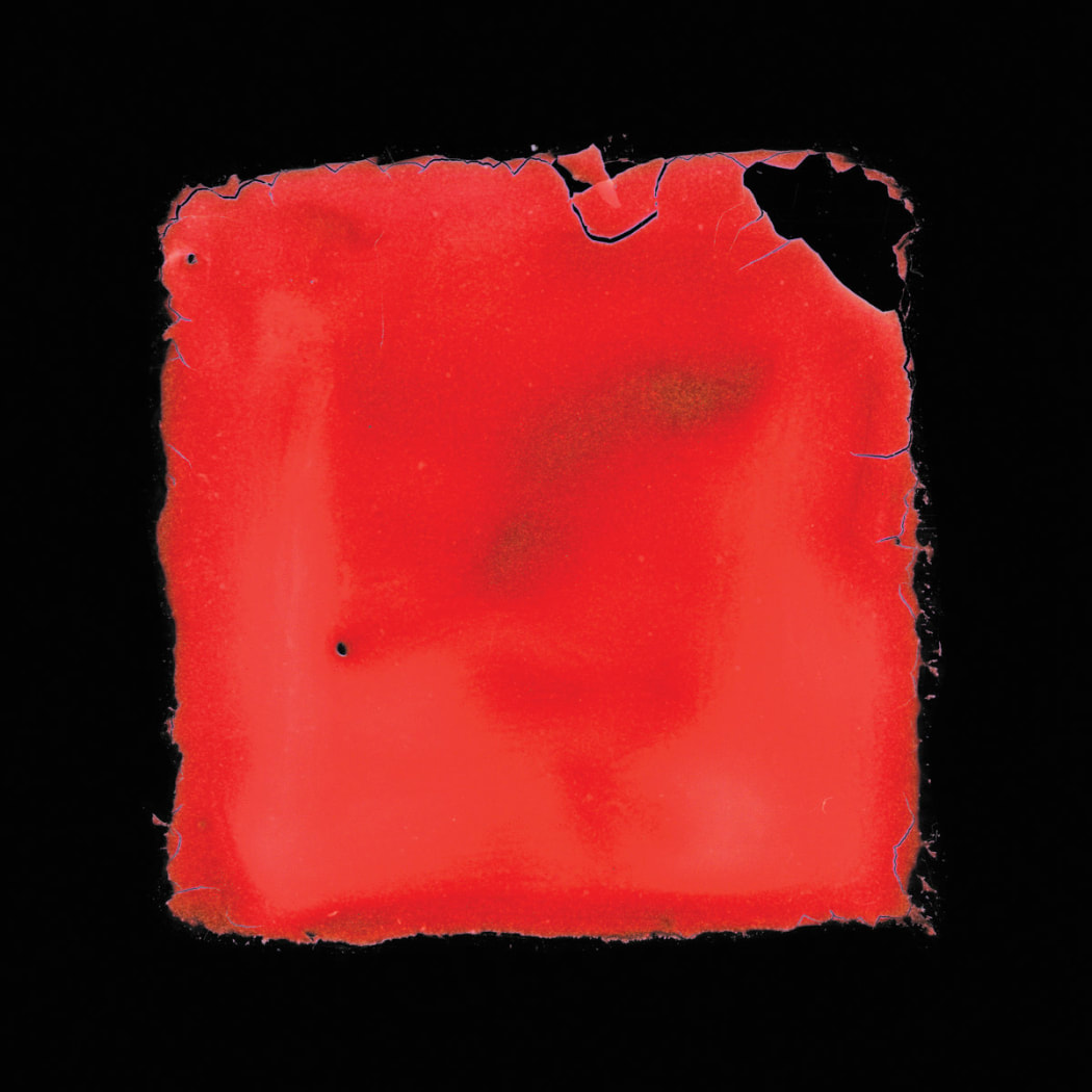 Salvia Palth Last Chance to See album cover