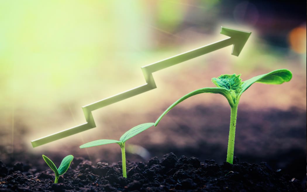Green seedling growing on the ground in the rain. For business