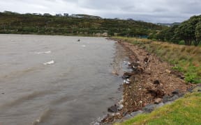 Ngāti Toa Rangatira placed a two-week rāhui on Te Awarua o Porirua after sewage spills.