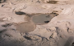 Close-up of bubbling hot mud pool. Rotorua, New Zealand