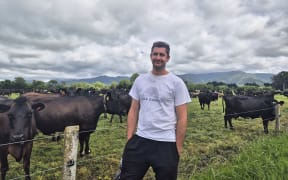 Michael Phillips of Waka Dairies with his herd of dairy cows.