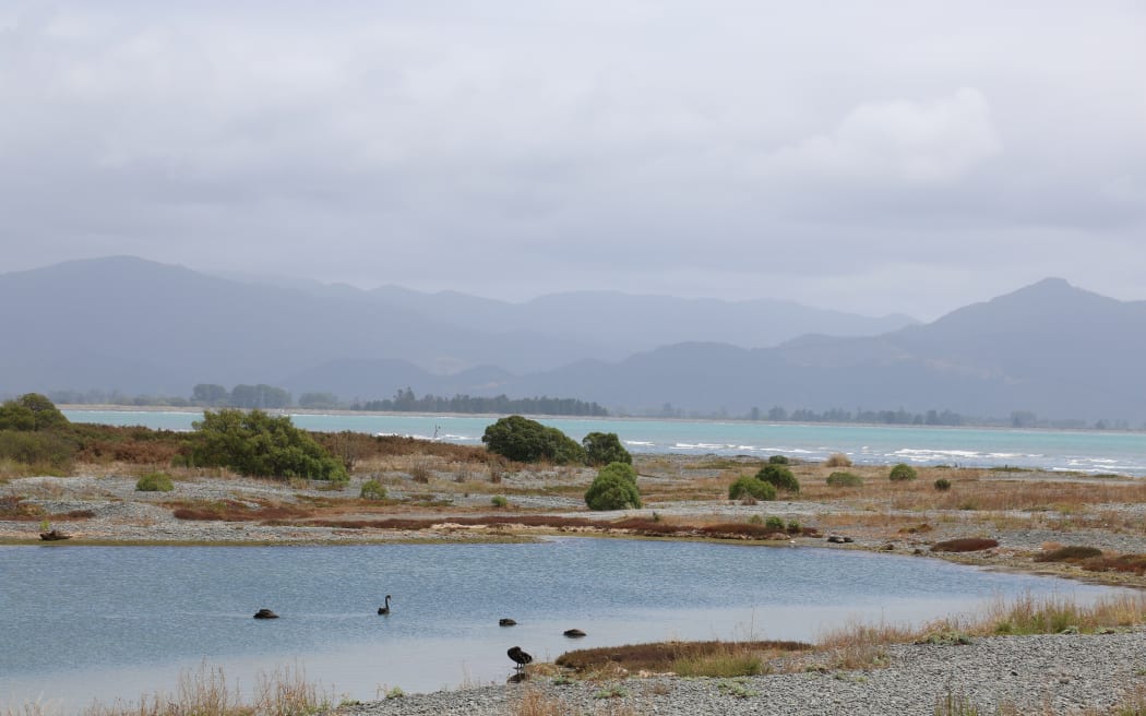te Pā Wines