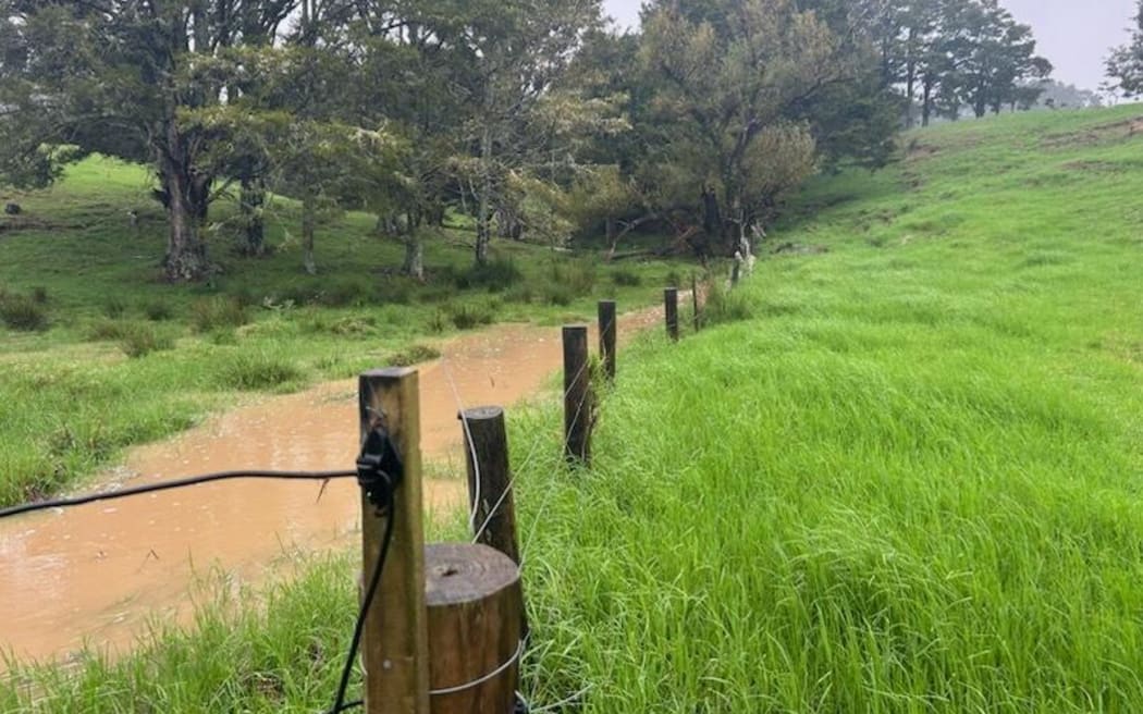 This swollen creek in Northland is running 1.5 metres higher than normal.