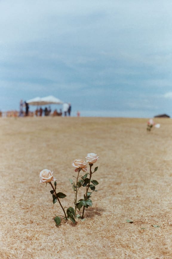 A wedding picture captured on film.