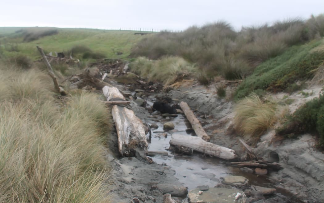 The site where the waka was found.
