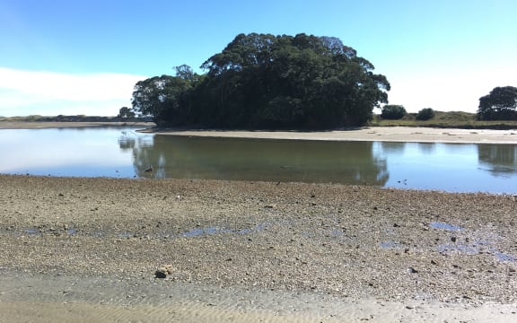 The Waiotahi pipi beds on the far bank of the estuary.