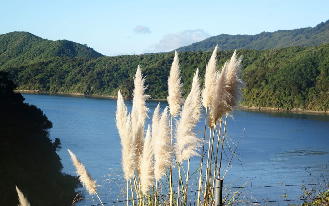 Queen Charlotte Sound of the Marlborough Sounds