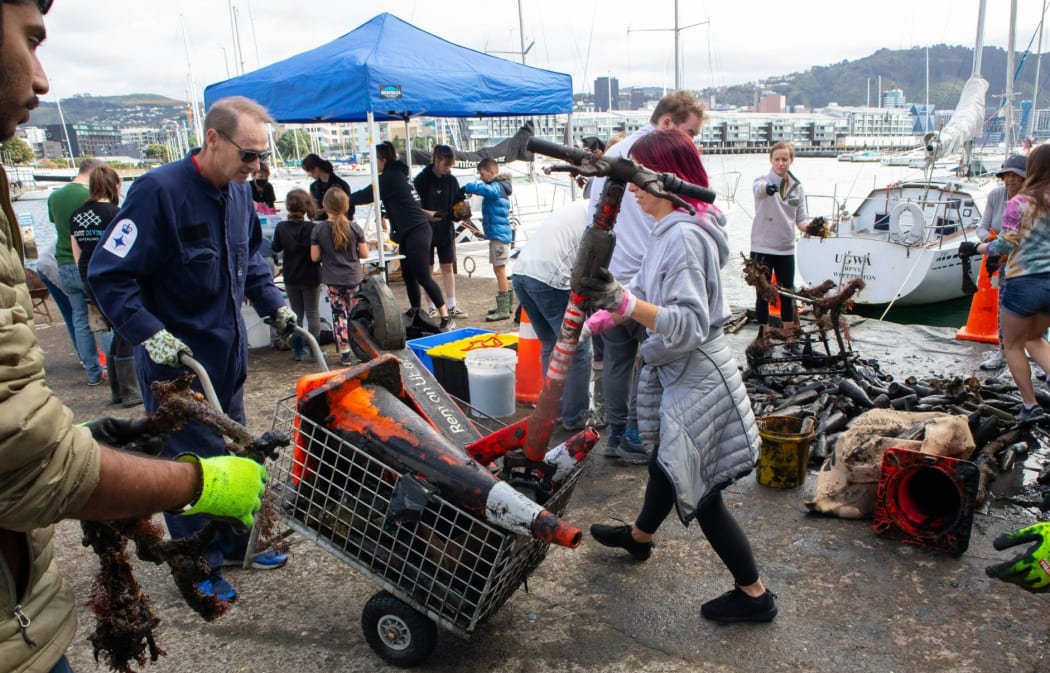 Four e-scooters were found at the bottom of the harbour.