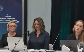 Representatives of pressure group Voice of Freedom addressing the Royal Commission of Inquiry into the Covid-19 response last Thursday.