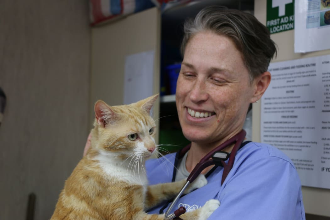 SPCA part-time head vet Jess Beer with a cat.