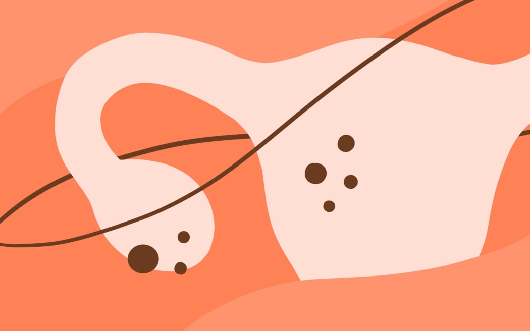 illustration of uterus