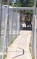 Guards back at work on Manus Island.