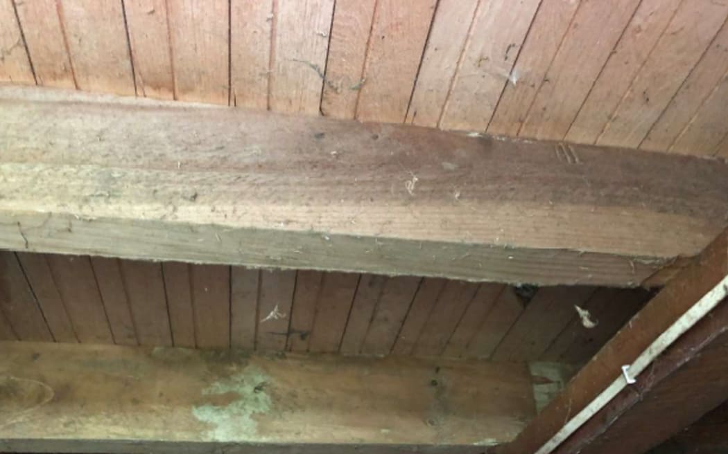 bare_floorboards_with_no_underfloor_insulation_