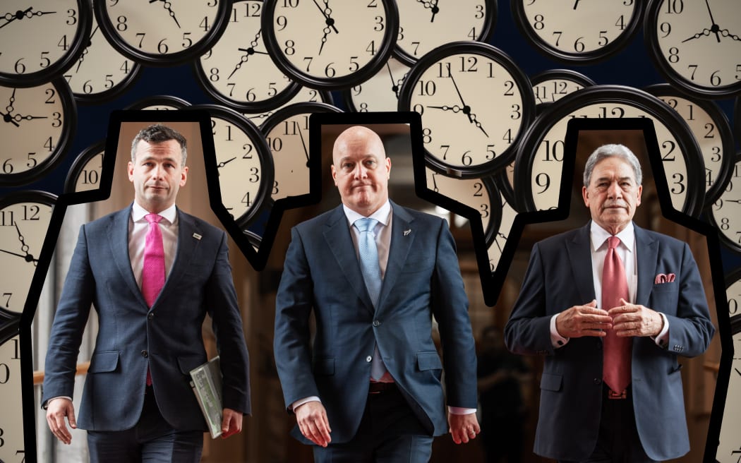 Parliament term limits