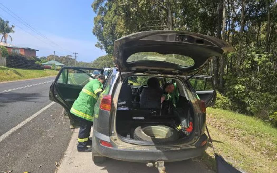 It took some time for the VRA to locate the snake in the vehicle