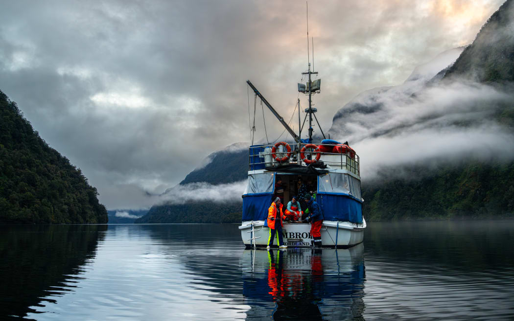 A back view of a boat on the calm dark waters of a fiord, with people wearing high-vis standing on the covered stern. Low cloud clings to steep forest-clad slopes on either side of the inlet.
