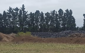 Michael Le Roy was ordered to remove stockpiled tyres from an Amberely property in 2018 by Environment Canterbury. He did not comply with the order.