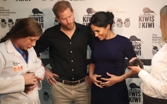 Royal Tour 2018
Kiwi Encounter husbandry manager Emma Bean, left, holds Tihei, while Kiwi For Kiwis' Michelle Impey, right, holds Koha as the Duke and Duchess of Sussex, Harry & Meghan get an up-close and personal experience with NZ Kiwi
NZME photograph by Stephen Parke 31 October 2018