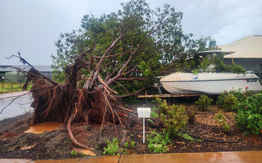 This handout photo taken and posted by Bianca Katai on Facebook on February 14, 2025 shows an uprooted tree as Cyclone Zelia made landfall in a suburb of Port Headland, Western Australia. Category five Cyclone Zelia churned into Australia's minerals-rich west coast on February 14, with gusts of 290 kilometres per hour sparking emergency warnings and port closures. (Photo by Handout / FACEBOOK account of Bianca Katai / AFP) / NO USE AFTER FEBRUARY 24, 2025 05:12:49 GMT - NO USE AFTER FEBRUARY 24, 2025 05:12:49 GMT - RESTRICTED TO EDITORIAL USE - MANDATORY CREDIT "AFP PHOTO /  FACEBOOK ACCOUNT OF BIANCA KATAI" - NO MARKETING NO ADVERTISING CAMPAIGNS - DISTRIBUTED AS A SERVICE TO CLIENTS - NO ARCHIVE /