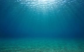 Underwater seascape sandy seabed with natural sunlight below water surface in the Mediterranean sea, France