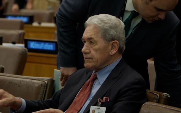 Foreign Affairs Minister Winston Peters at the Crimea Platform Summit in New York.