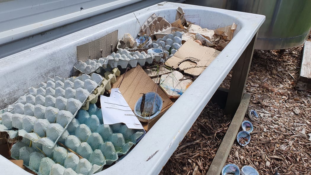 Cardboard is collected alongside sheep dags and other organic waste for the no-dig garden beds