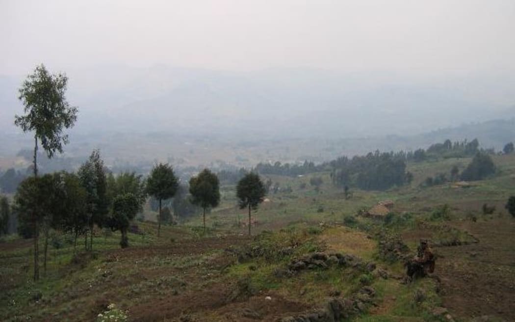 A Rwandan hillside.