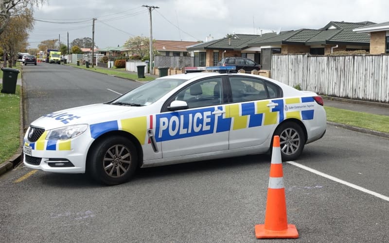 Union 'disturbed' by trend of ramming police cars | RNZ