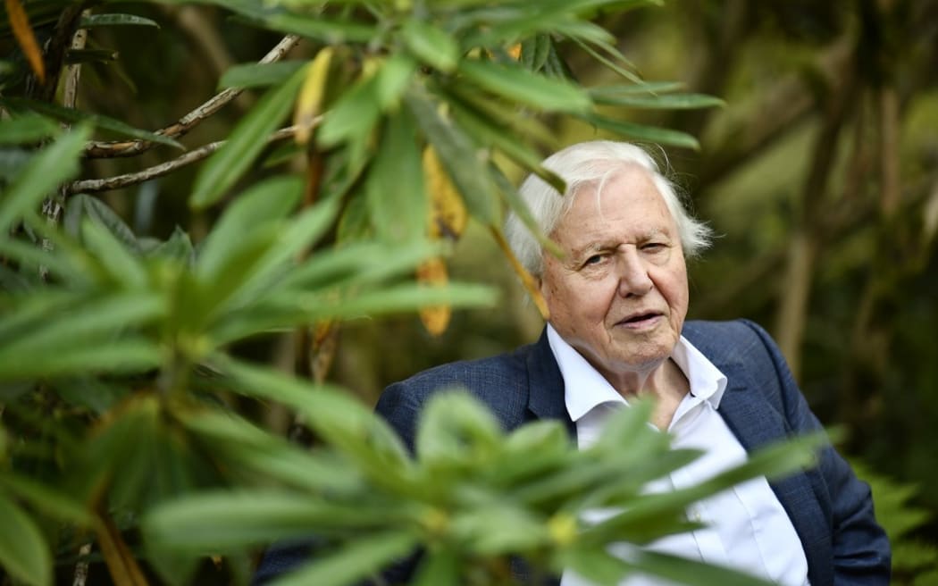 GOTHENBURG 2018-09-06
Sir David Attenborough is seen  at the Botanical gardens in Gothenburg, Sweden in September 2018