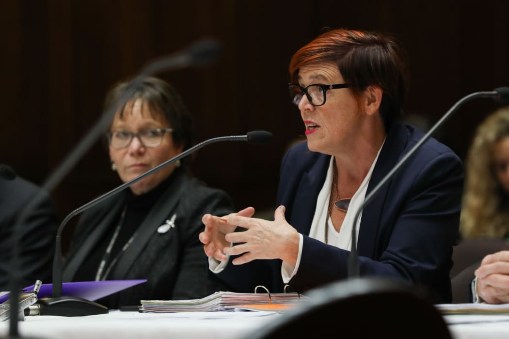 Parliamentary Undersecretary to the Minister of Justice Jan Logie (right) and Minister for Children Tracey Martin (left)