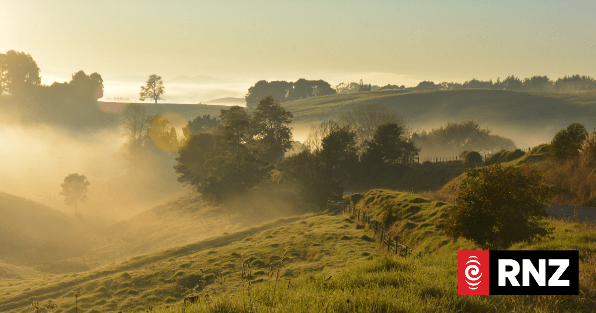 Urban Issues with Matthew Bradbury | RNZ