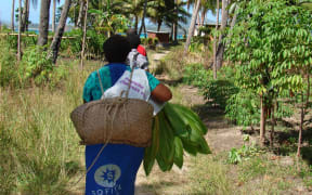 Massey University professor Regina Scheyvens has visited countries in the Pacific to research land use.