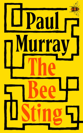 Book jacket image of The Bee Sting by Paul Murray