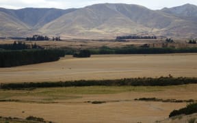 Dry paddocks near Ranfurly and Kyeburn in Maniototo.