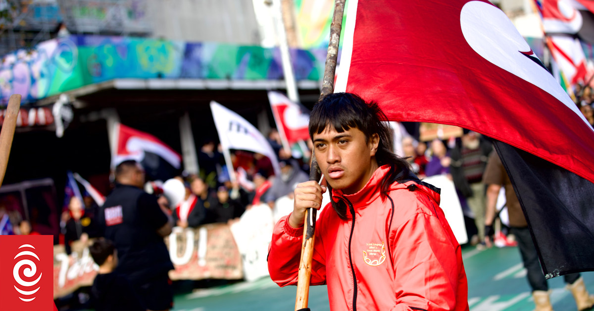 Live: Budget Day Hīkoi heads to Parliament as thousands gather around country - Vimarsana News