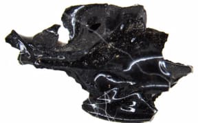 This undated photo handout on January 23, 2020 by the press office of the Haerculaneum Archeological Site in Ercolano near Pompeii shows a vitrified brain fragment from a victim of the volcanic eruption of Italy's Mount Vesuvius in 79 A.D. The discovery, published on January 23, 2020 in The New England Journal of Medicine, is a rarity in archaeology, and researchers called the find from the ruins of Herculaneum near Pompeii "sensational." (Photo by Handout / PRESS OFFICE OF THE HERCULANEUM ARCHAEOLOGICAL SITE / AFP) / RESTRICTED TO EDITORIAL USE - MANDATORY CREDIT "AFP PHOTO / PRESS OFFICE OF THE HERCULANEUM ARCHAEOLOGICAL SITE" - NO MARKETING - NO ADVERTISING CAMPAIGNS - DISTRIBUTED AS A SERVICE TO CLIENTS