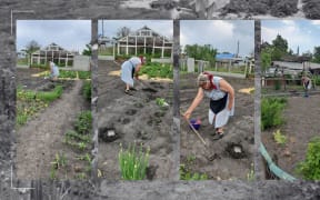 Kseniya and her grandmother Maryna, residents of the village of Tsirkunivska near Kharkiv, have shown incredible determination. Kseniya spends her days reconstructing houses damaged by the missiles using ReliefAid supplied materials, and Maryna tends to their garden and replants seedlings for their community.