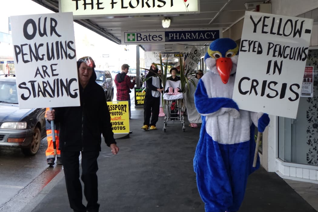 A yellow eyed penguin 'Death March' was held in Balclutha by Forest and Bird members in penguin suits.