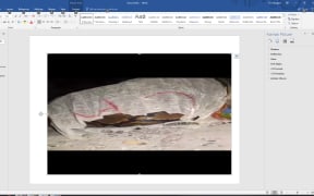 A snake in a bag that was allegedly thrown at West Papuan students