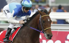 Admire Rakti collapsed and died in its stall.