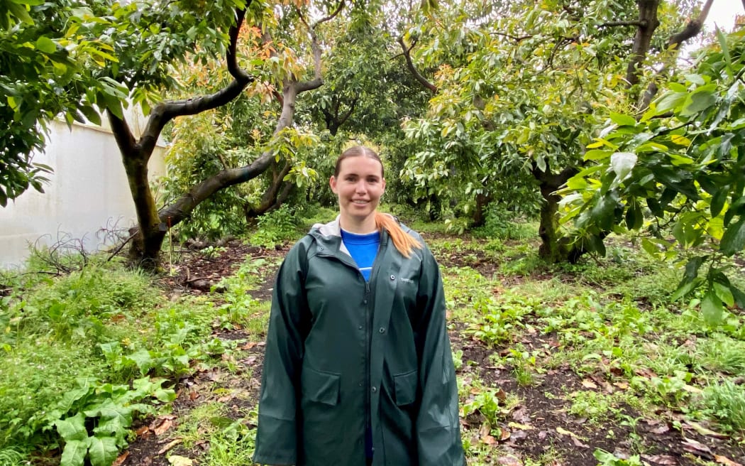 Laura Schultz has found herself managing an avocado orchard